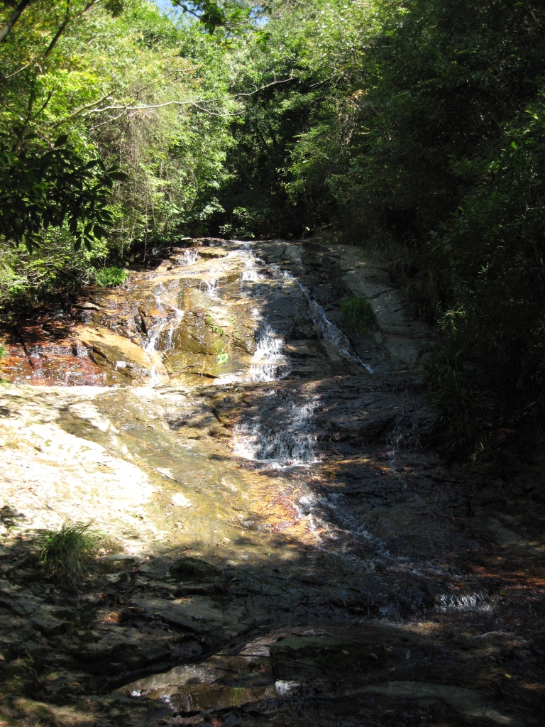 ファイル 28-2.jpg