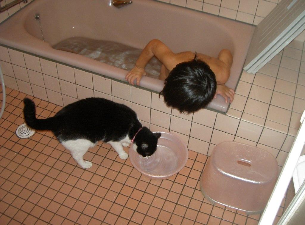 ファイル 29-1.jpg