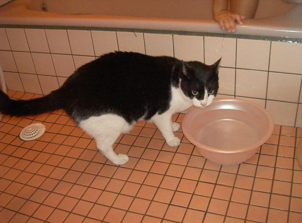 ファイル 29-2.jpg