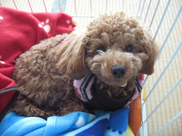 ファイル 298-1.jpg