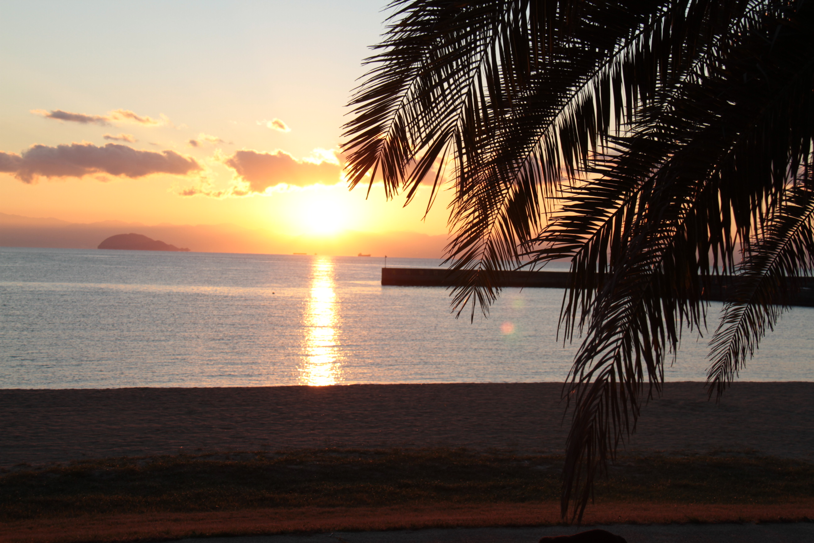 ファイル 299-2.jpg