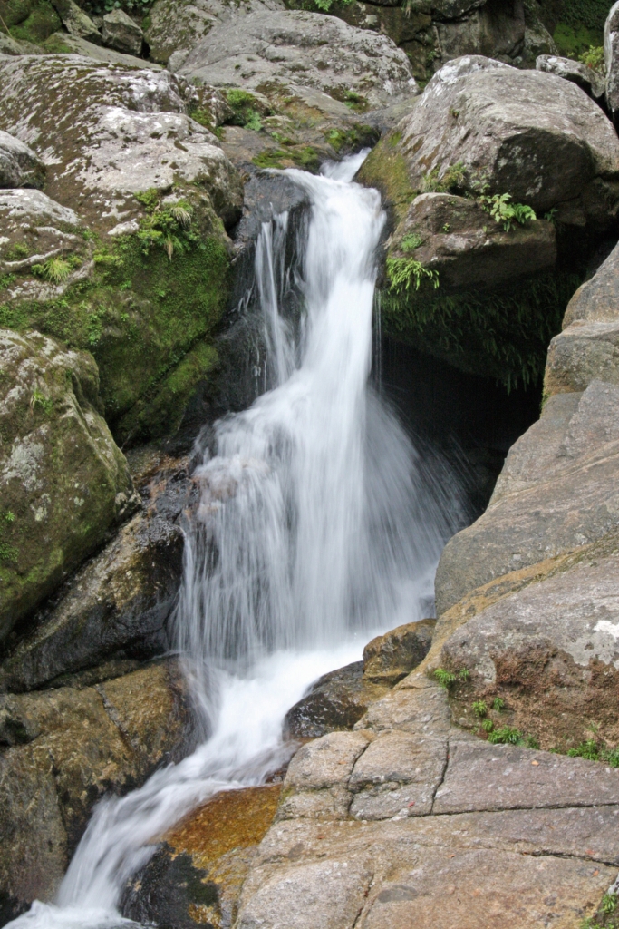 ファイル 3-3.jpg