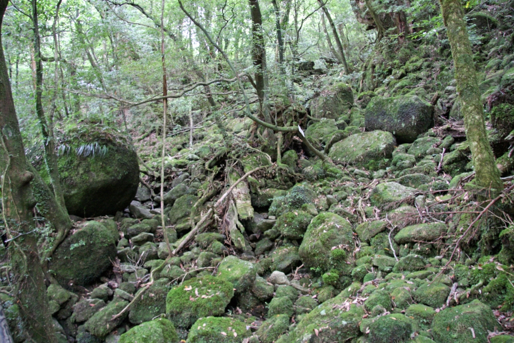 ファイル 3-4.jpg