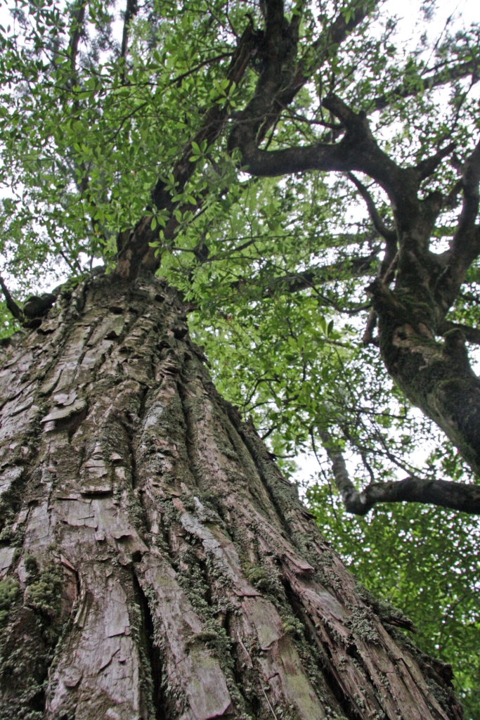 ファイル 3-5.jpg