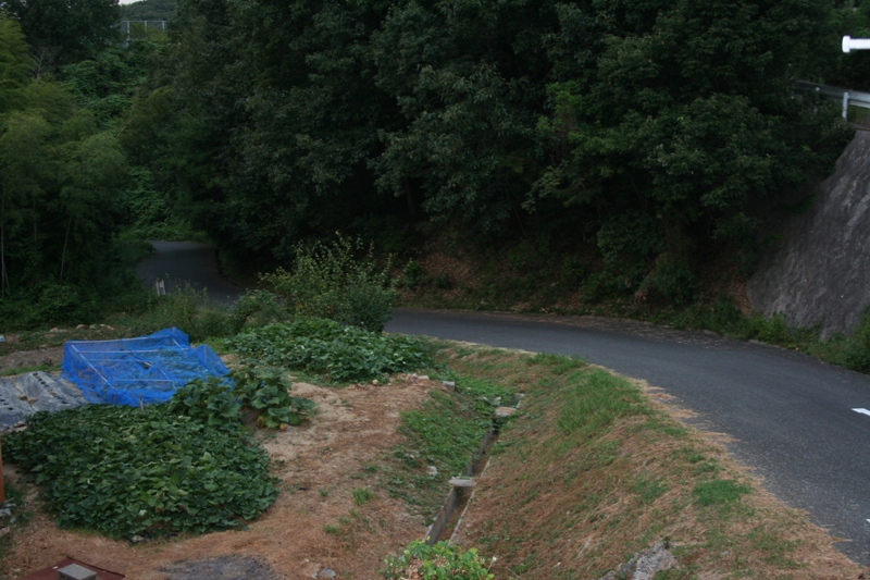 ファイル 30-2.jpg