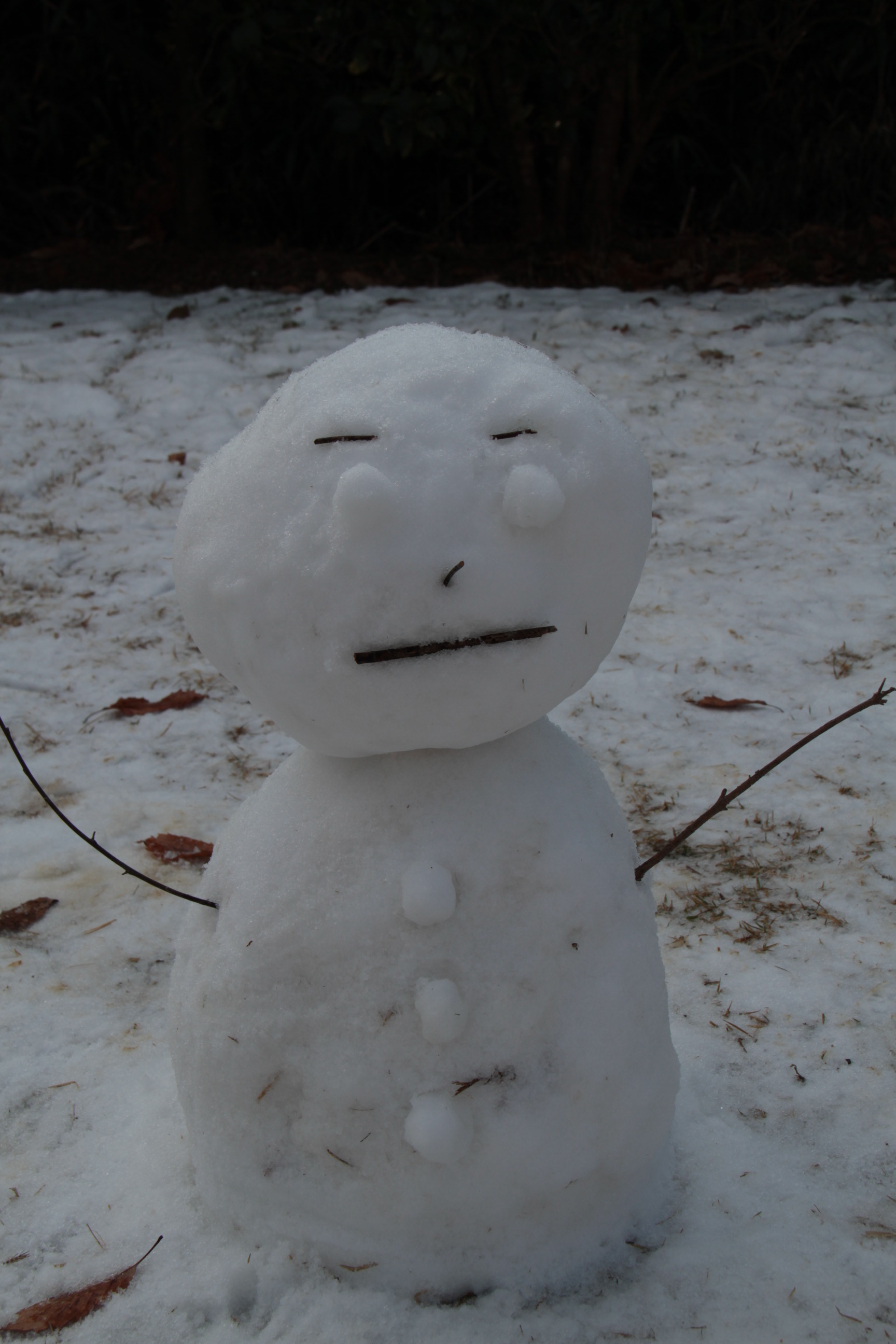 ファイル 312-3.jpg