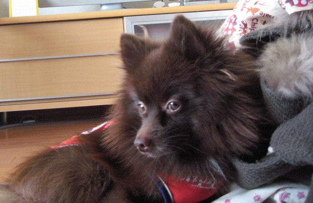 ファイル 313-1.jpg