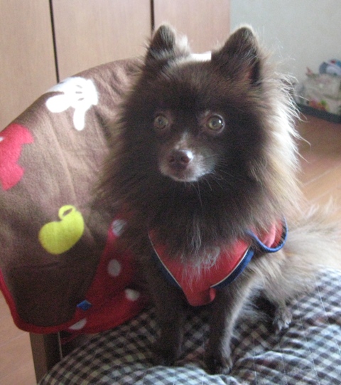 ファイル 313-2.jpg