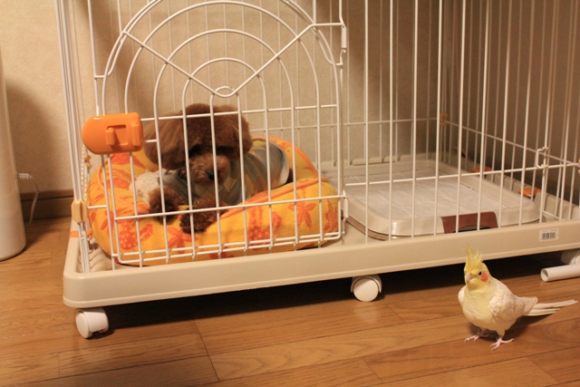 ファイル 316-2.jpg