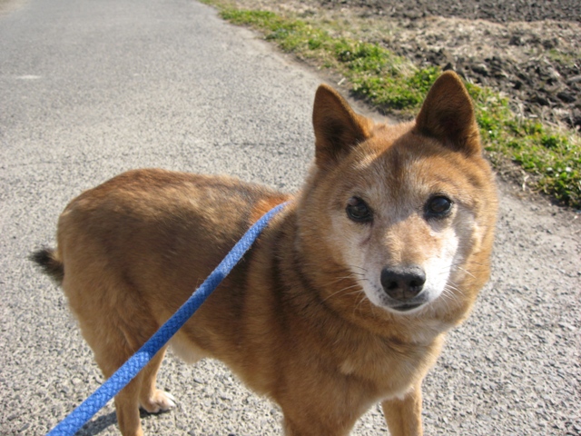 ファイル 322-2.jpg