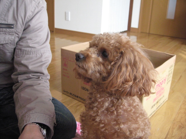 ファイル 324-1.jpg