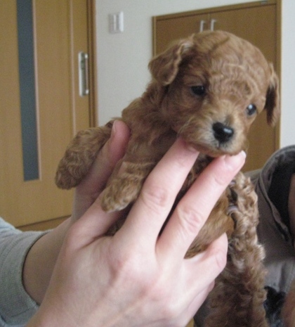 ファイル 324-2.jpg