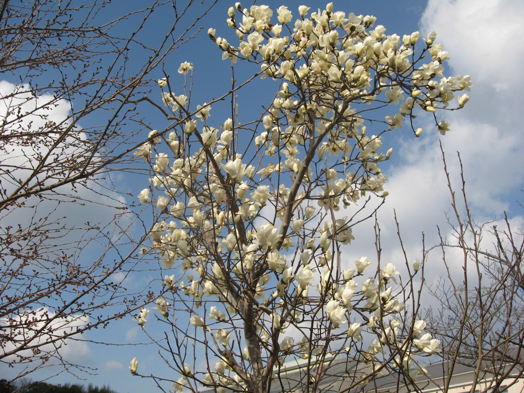 ファイル 336-1.jpg