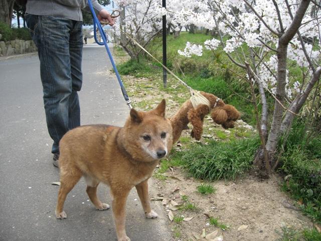 ファイル 339-1.jpg