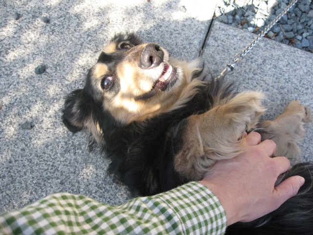 ファイル 342-2.jpg