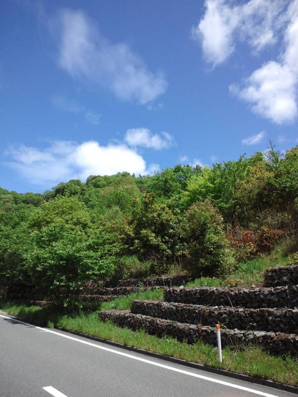 ファイル 345-2.jpg