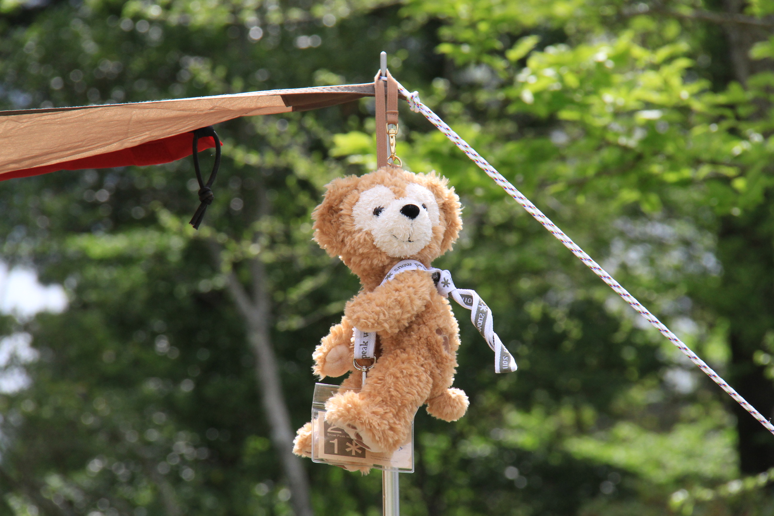 ファイル 350-1.jpg