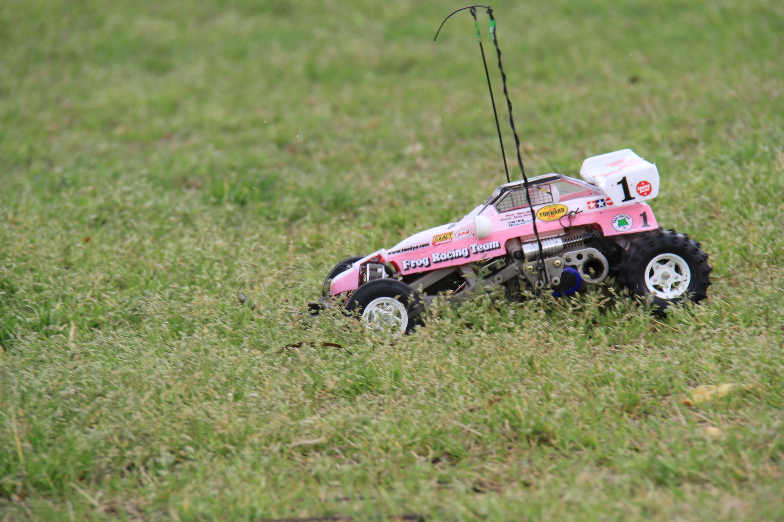 ファイル 350-3.jpg