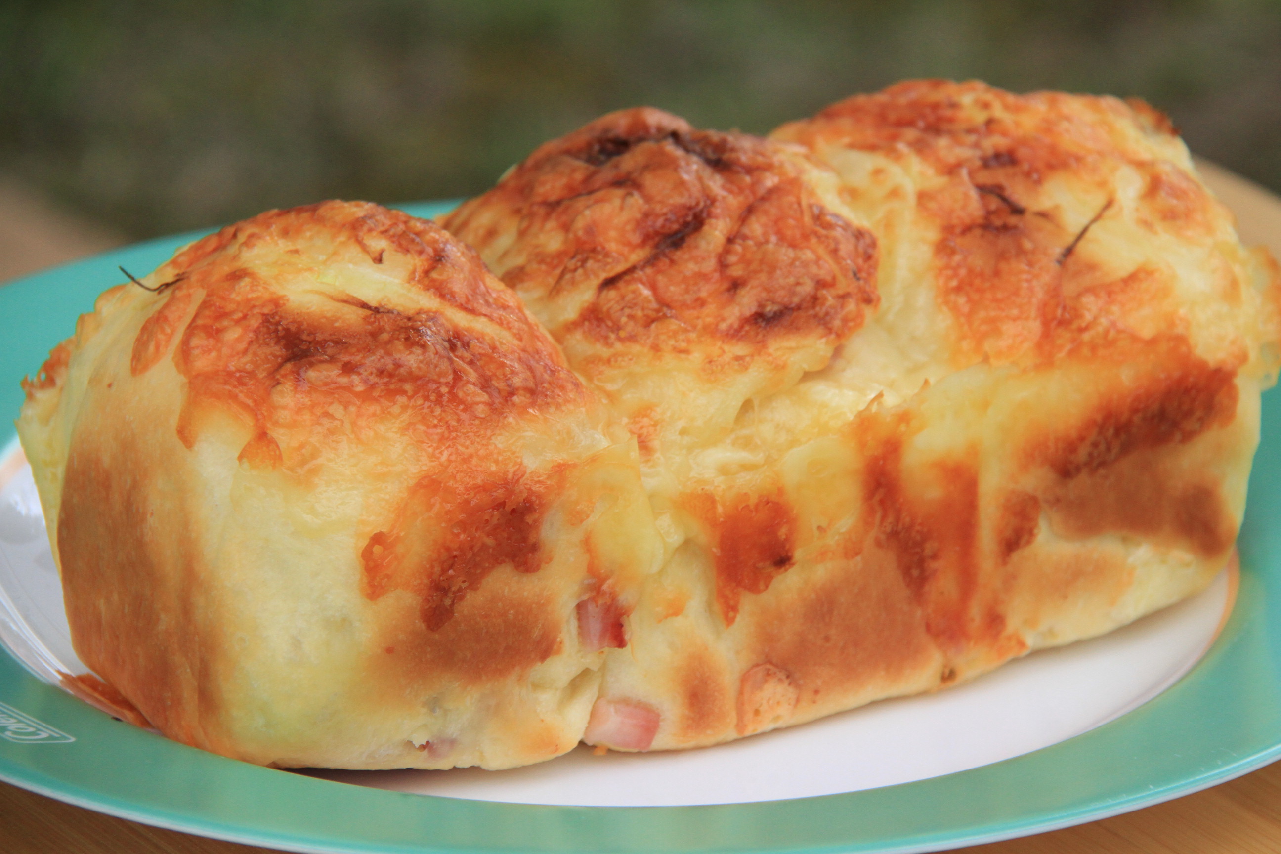 ファイル 350-5.jpg