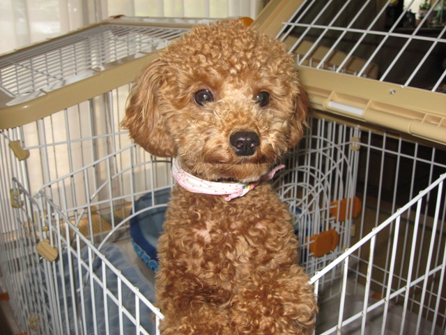 ファイル 354-1.jpg