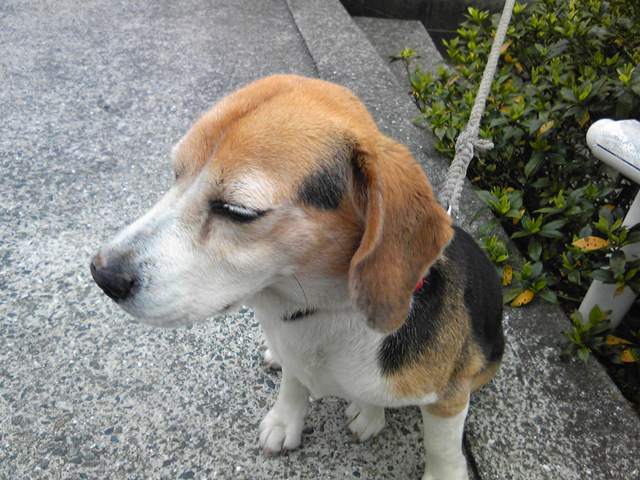 ファイル 357-1.jpg