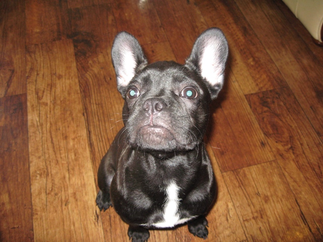 ファイル 366-1.jpg