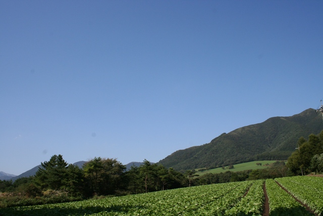 ファイル 37-2.jpg