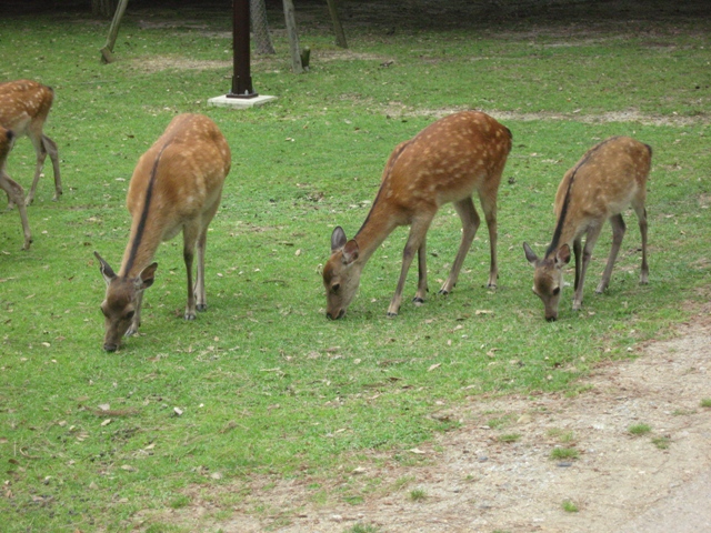 ファイル 370-2.jpg