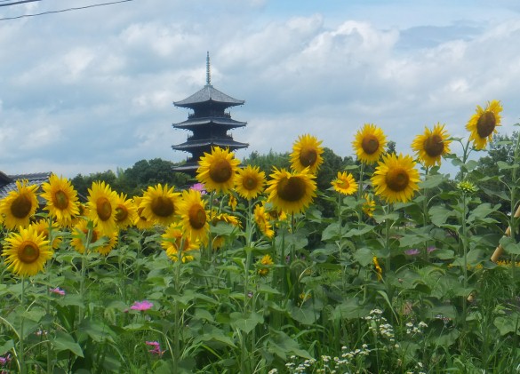 ファイル 371-1.jpg