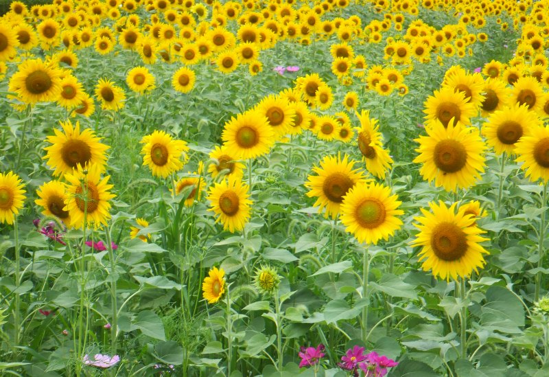 ファイル 371-2.jpg