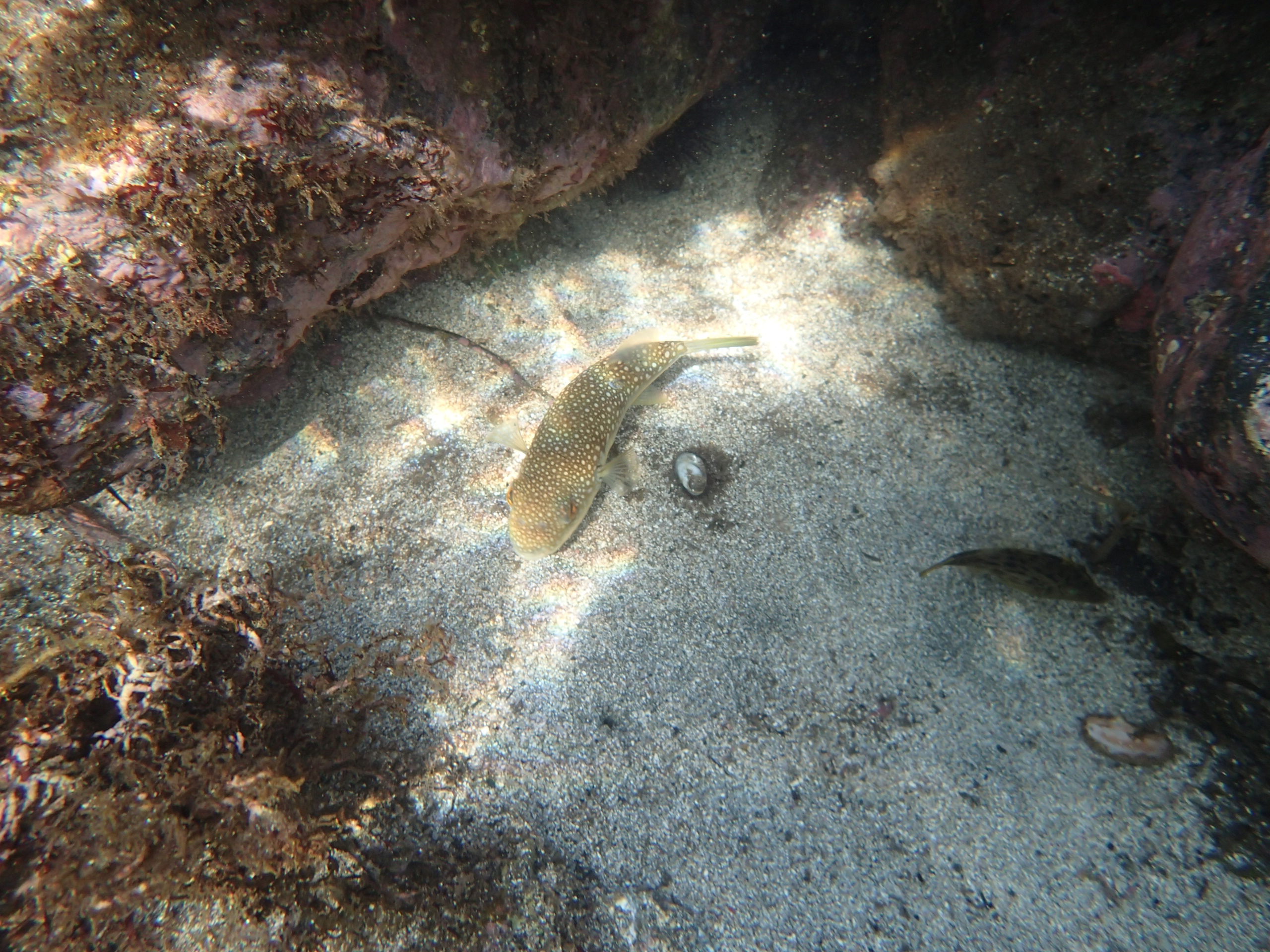 ファイル 379-3.jpg