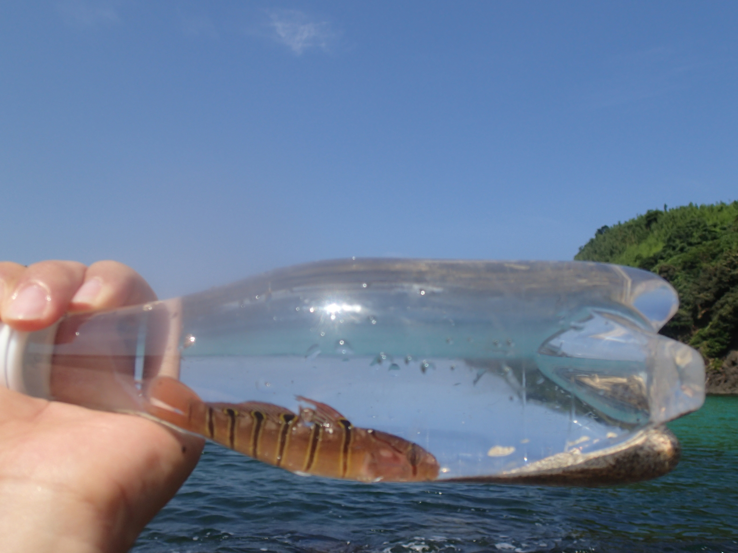 ファイル 379-4.jpg