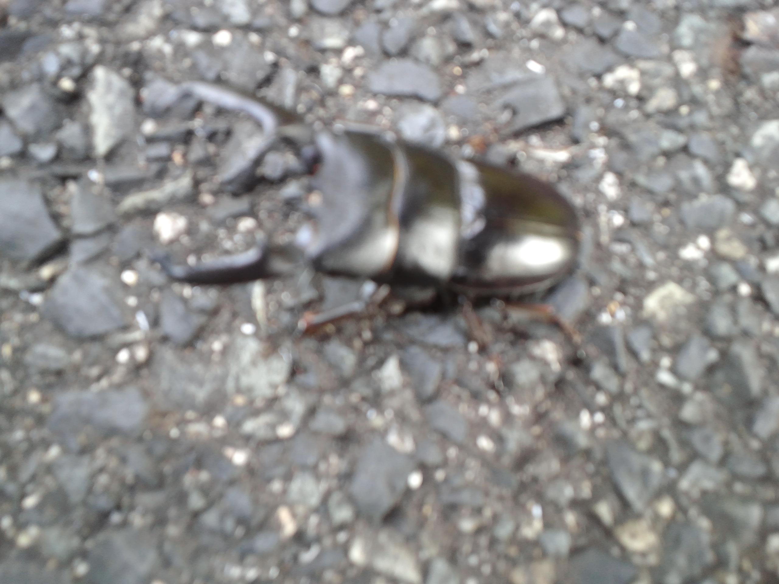 ファイル 381-1.jpg