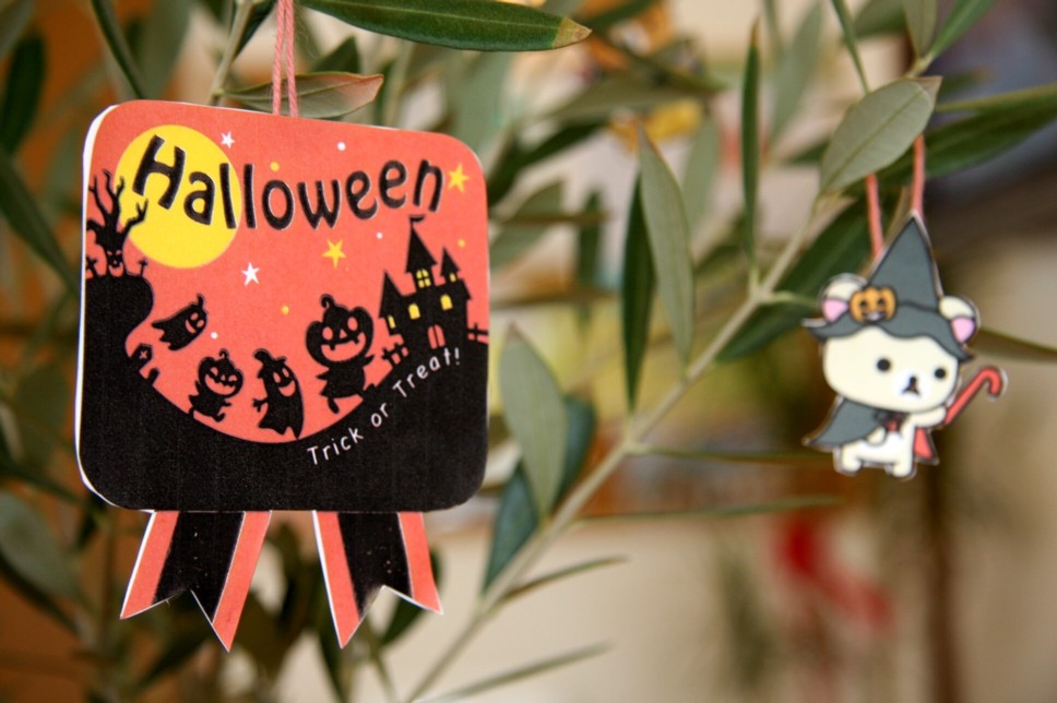 ファイル 39-1.jpg