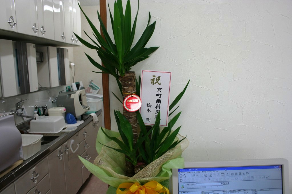 ファイル 4-3.jpg