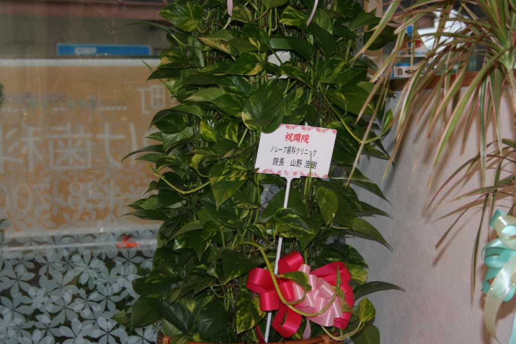 ファイル 4-5.jpg