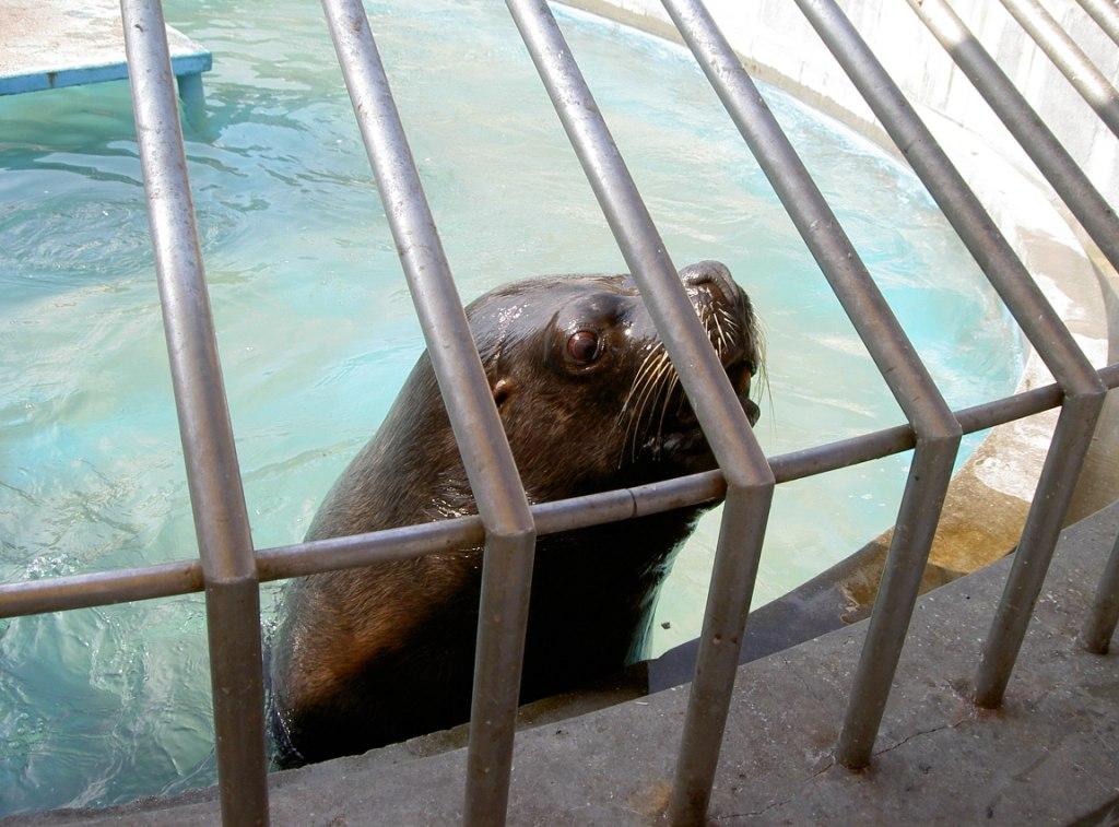 ファイル 41-3.jpg