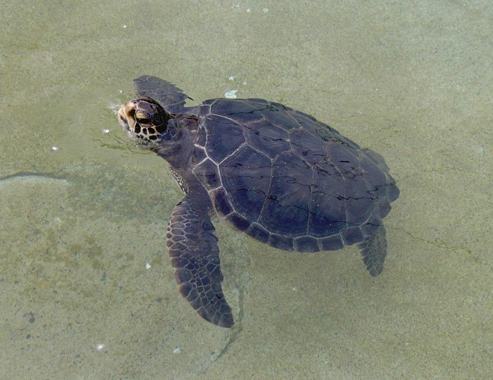 ファイル 41-4.jpg