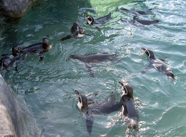 ファイル 42-1.jpg