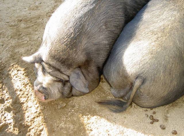 ファイル 42-2.jpg