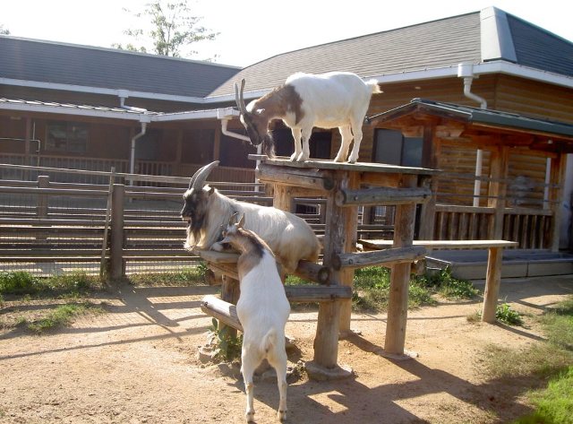 ファイル 42-3.jpg