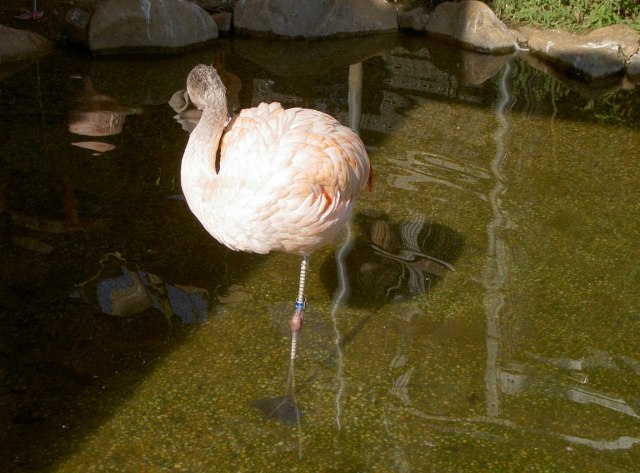 ファイル 42-4.jpg