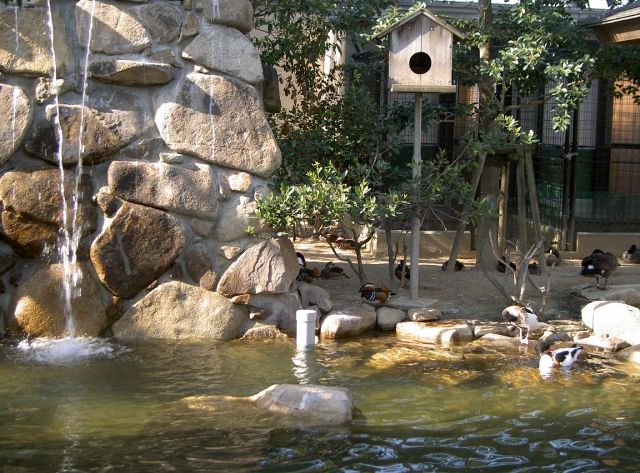 ファイル 42-5.jpg