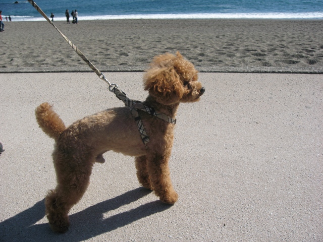 ファイル 436-1.jpg