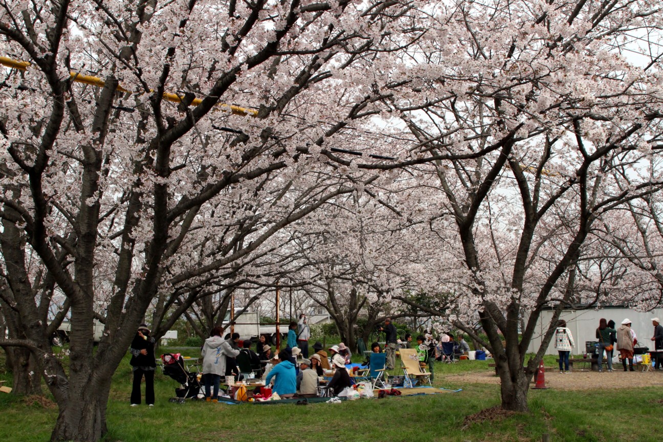 ファイル 451-2.jpg