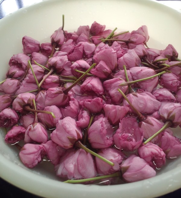 ファイル 453-1.jpg