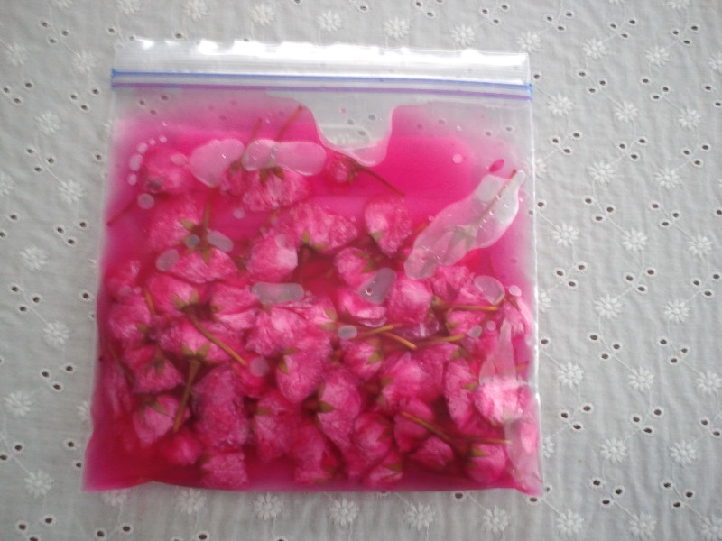 ファイル 453-3.jpg