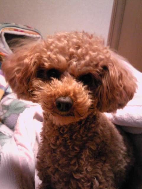 ファイル 459-1.jpg