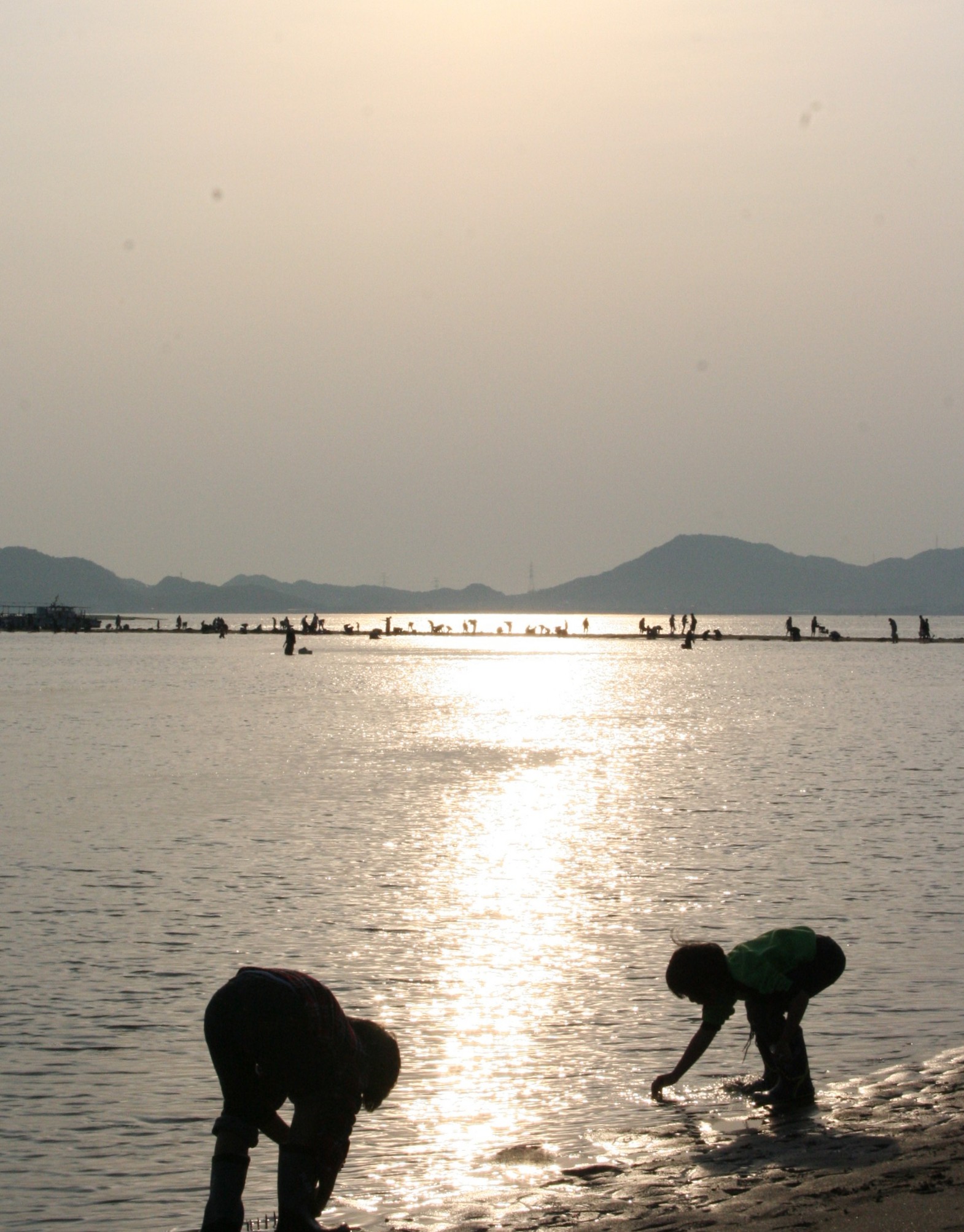 ファイル 462-4.jpg