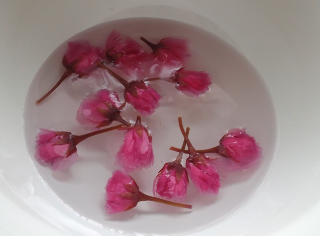 ファイル 463-3.jpg